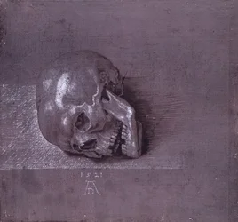 Studie eines menschlichen Schädels, 1521